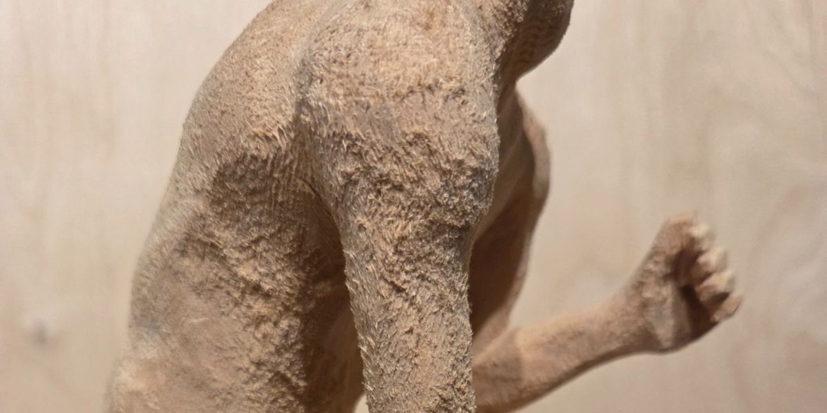 Simon Courchesne : Si terne, citerne