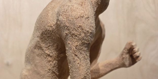 Simon Courchesne : Si terne, citerne