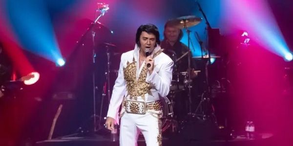 Elvis Reimagined