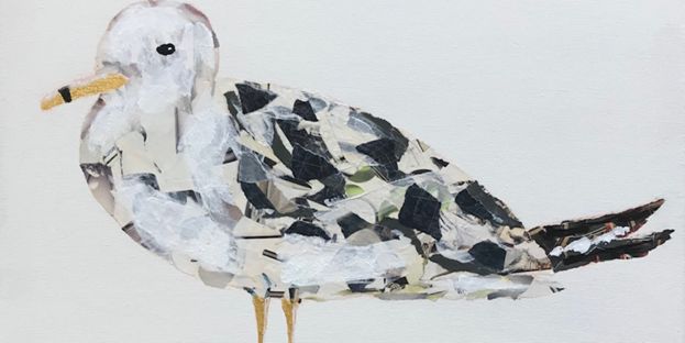 Louise Rivard : Oiseaux rapaillés