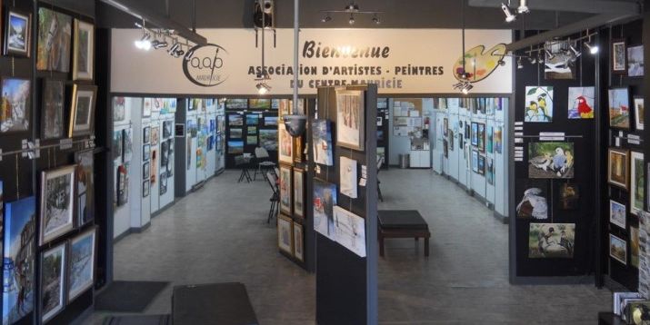 Association d’artistes peintres du Centre-Mauricie