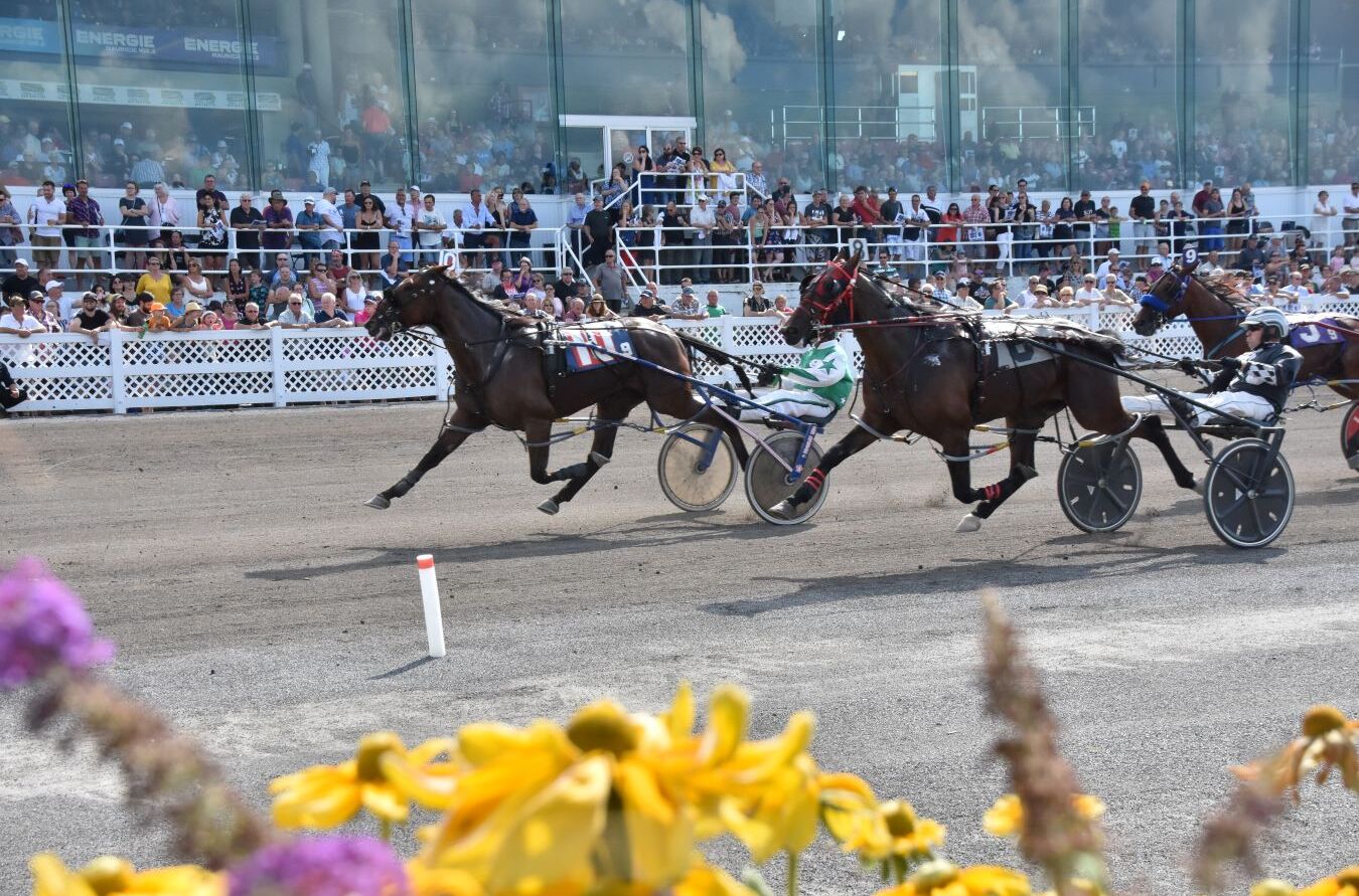 Courses de chevaux - Hippodrome Trois-Rivières