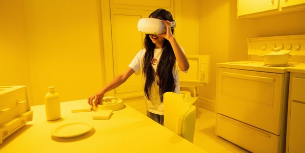 Réalité dés/augmentée 2.0 – Visions du monde numérique