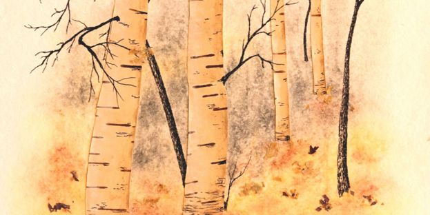 Ginette Ross : Encre et végétaux