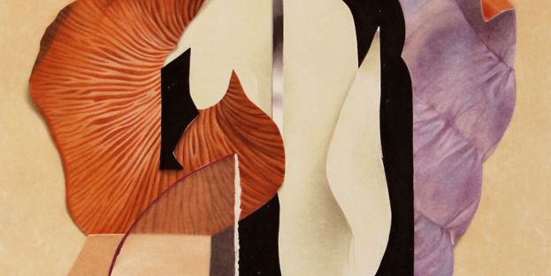 Roxane Fiore : Tout ce que nous sommes
